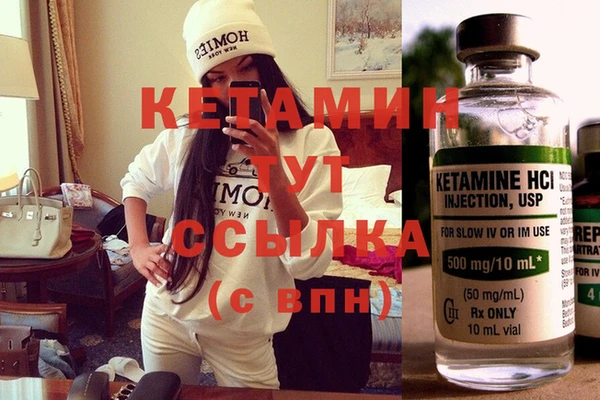 индика Бородино
