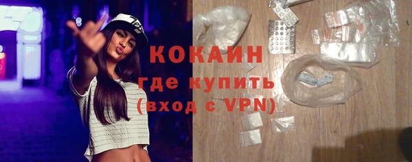 индика Бородино