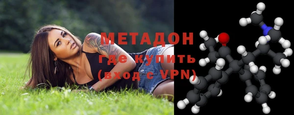 индика Бородино