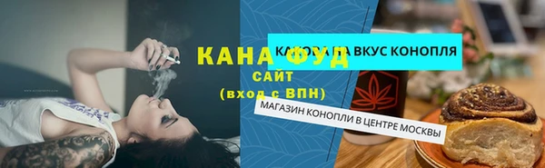 индика Бородино
