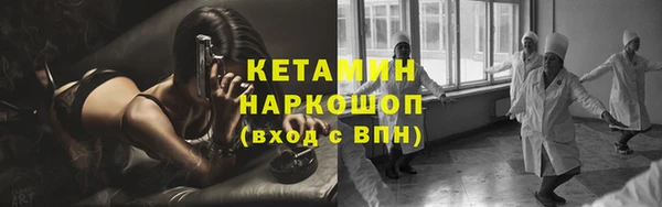 шишки Бронницы