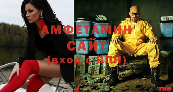 индика Бородино