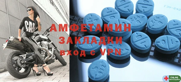 индика Бородино