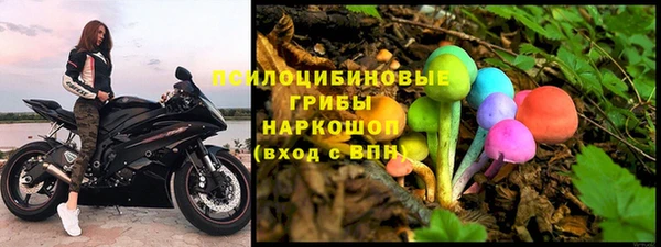 шишки Бронницы