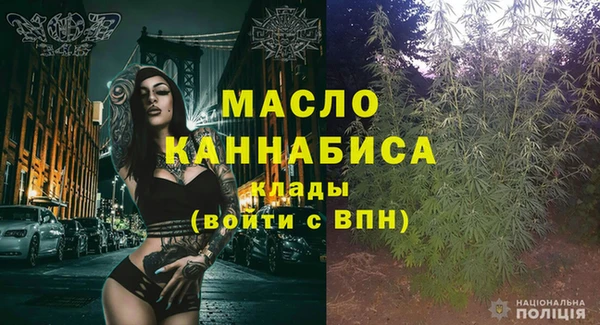 индика Бородино