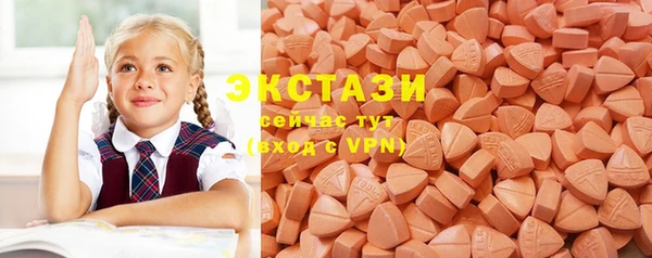 индика Бородино