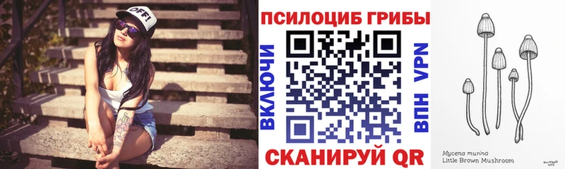 гидра маркетплейс  Заволжск  Галлюциногенные грибы Psilocybe  где купить наркотик 